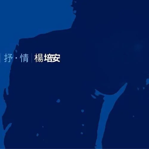 左邊右邊-楊培安