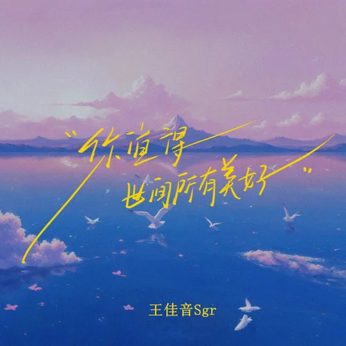 你值得世間所有美好-王佳音