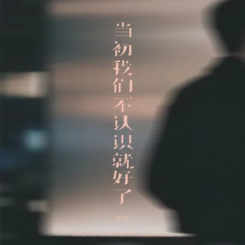 當初我們不認識就好了 (煙嗓男版)-張良