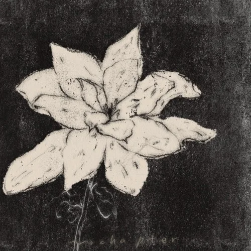 我們要多么的努力（不要再孤單）-許子婷