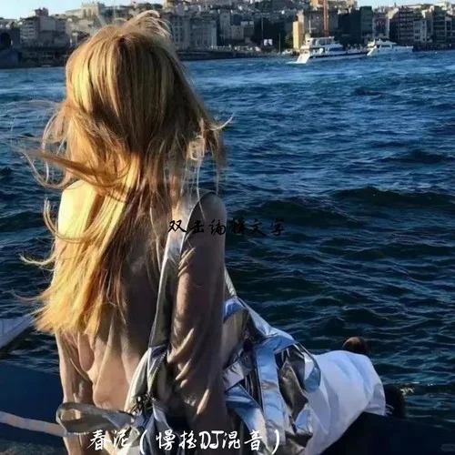 春泥 (DJ降調(diào)版)-DJ.SmartD