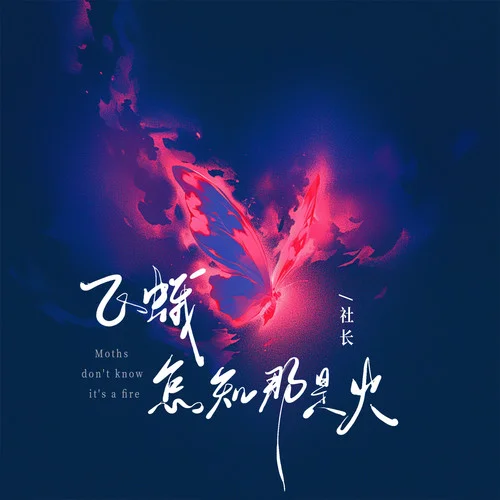 飞蛾怎知那是火-社长