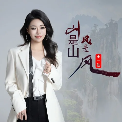 山是山风是风（节奏版）-王一佳