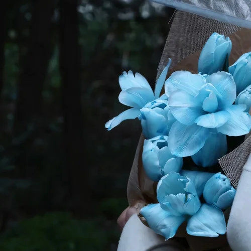 Asesm Belyin-天蒙蒙