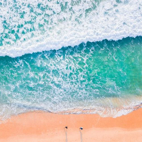 想去海边-夏日X企划