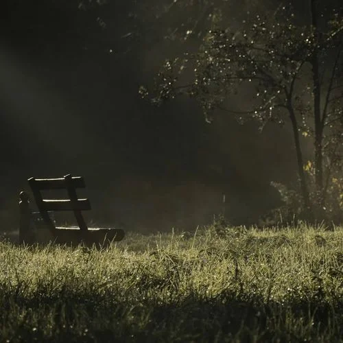 茉莉雨 (氛圍版)-葉子舒