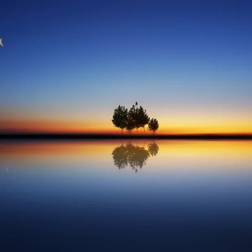 沒有勇氣的愛（DJ版）-閑天