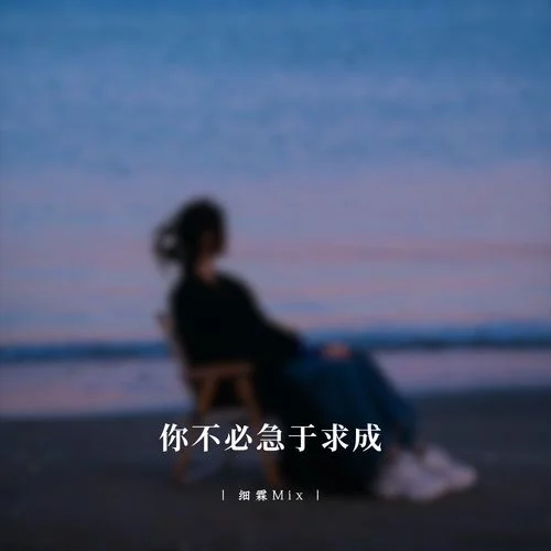 云南打跳 (DJ動(dòng)感節(jié)奏版)-細(xì)霖Mix