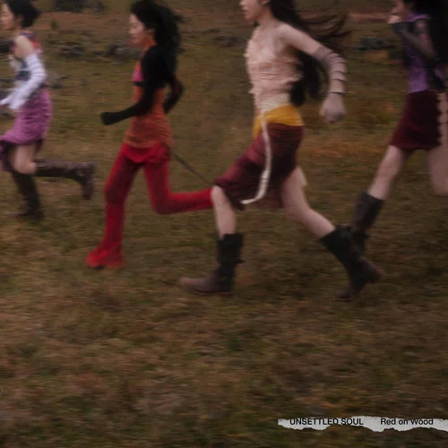 飛躍地平線 Leap Across The Horizon-Red on Wood (紅飛林)