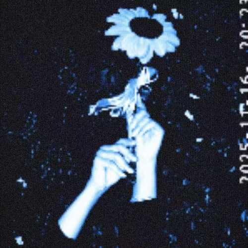 总是在梦里（动感版）-Nhq kiwi