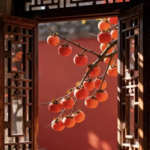 恭喜發(fā)財 (R&B版)-曹一陽