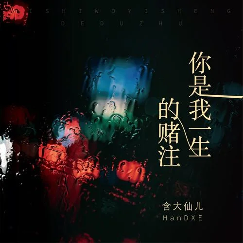 你是我一生的賭注-含大仙兒