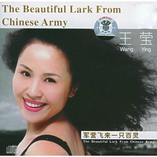 軍營飛來一只百靈-王瑩