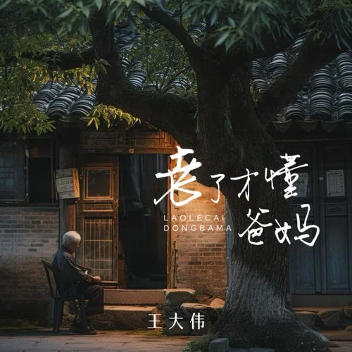 老了才懂爸媽-王大偉