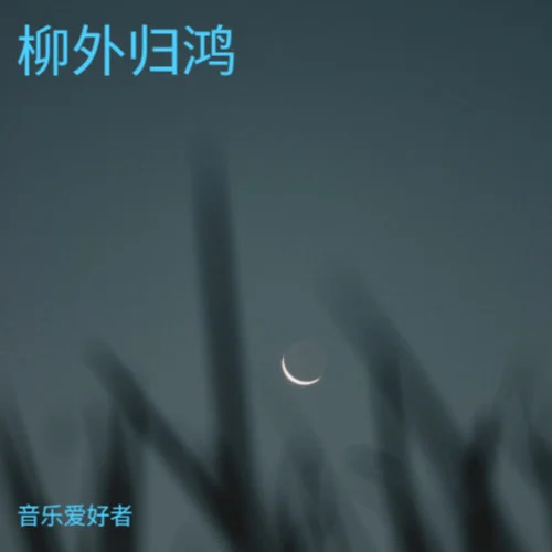 黃昏落在杯沿-音樂愛好者