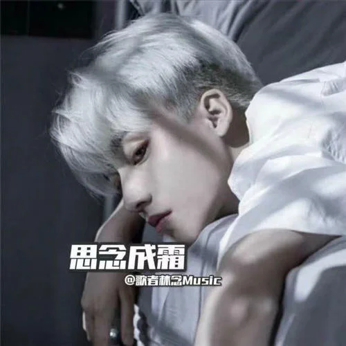 搖擺戰(zhàn)將(DJ版)-歌者林念