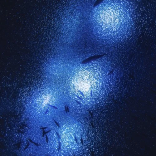 夜的鋼琴曲-Double.7