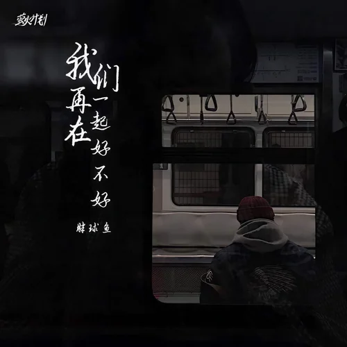 我們?cè)僭谝黄鸷貌缓?DJ小象版伴奏)-胖球魚