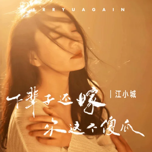 下輩子還嫁你這個傻瓜-江小城