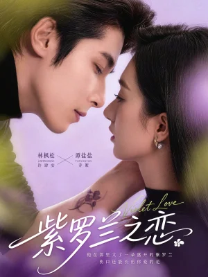 紫羅蘭之戀（82集）譚鹽鹽&林楓松 - 短劇資源下載