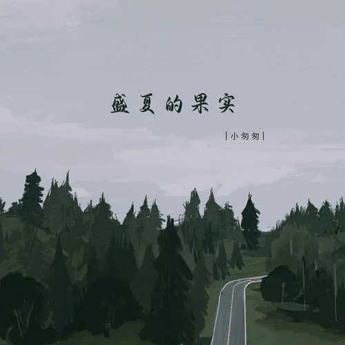 盛夏的果實(DJ版)-小匆匆