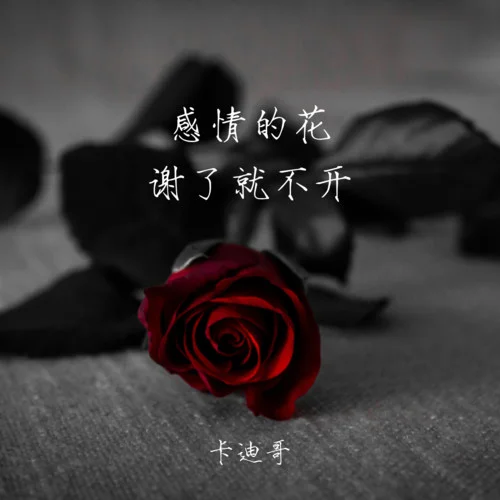感情的花謝了就不開-卡迪哥