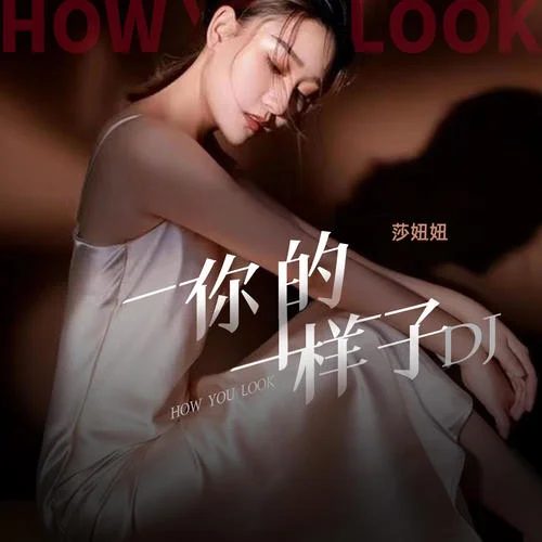 你的样子DJ(莎妞妞)-莎妞妞