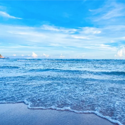 想見(jiàn)的人就去見(jiàn)一面-周傳金