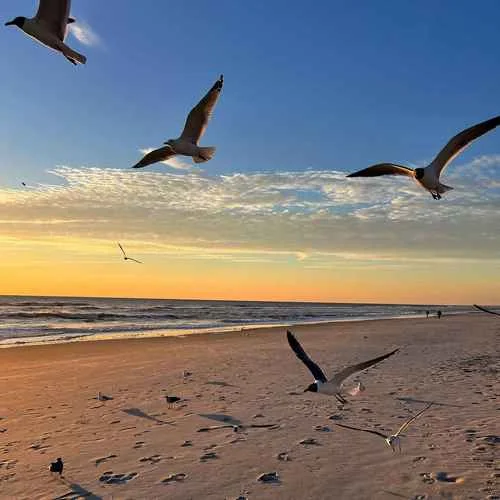 Give Me (DJ版)-耳朵加油站