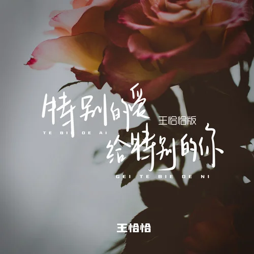 特別的愛給特別的你(DJ版)-王恰恰