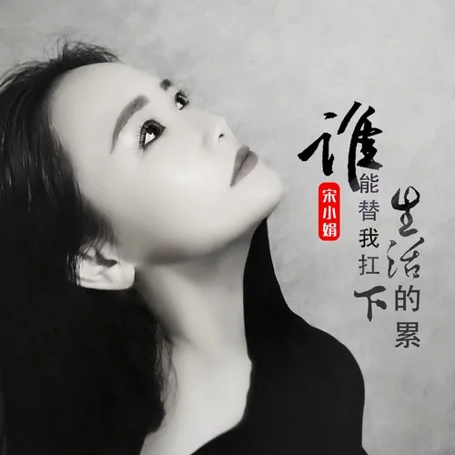 谁能替我扛下生活的累-宋小娟