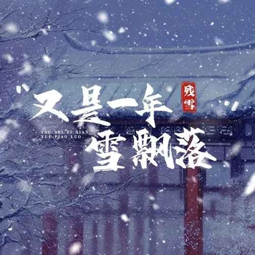 又是一年雪飄落-殘雪