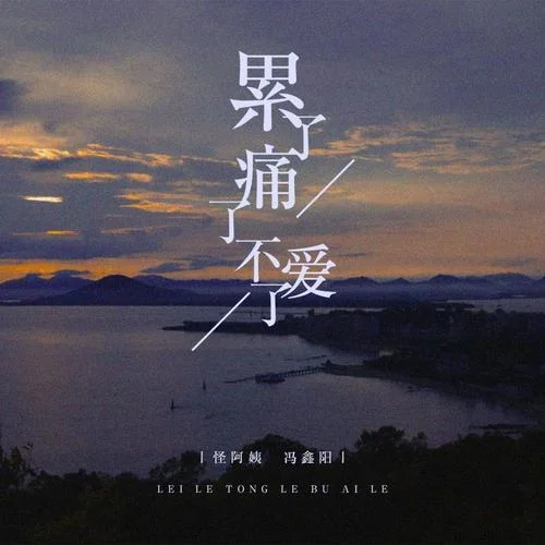 累了痛了不愛了-怪阿姨