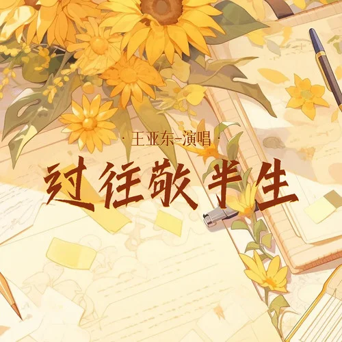過往敬半生(降調(diào)版)-王亞東