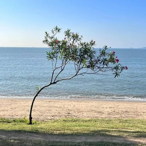 媽，我好累-Pake.