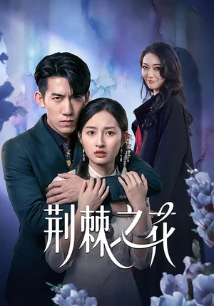 荊棘之花（100集）楊可忻&范哲宇 - 短劇資源下載