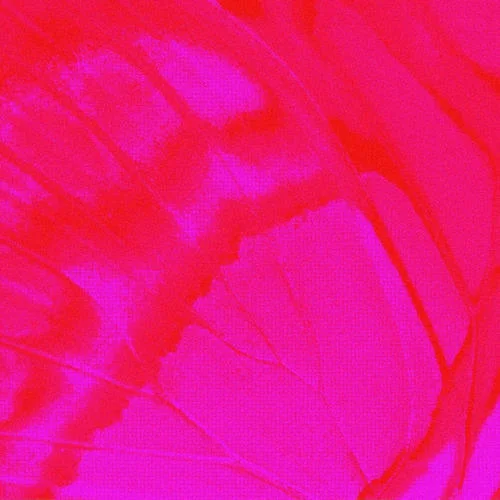 escape-daoko&Yohji Igarashi