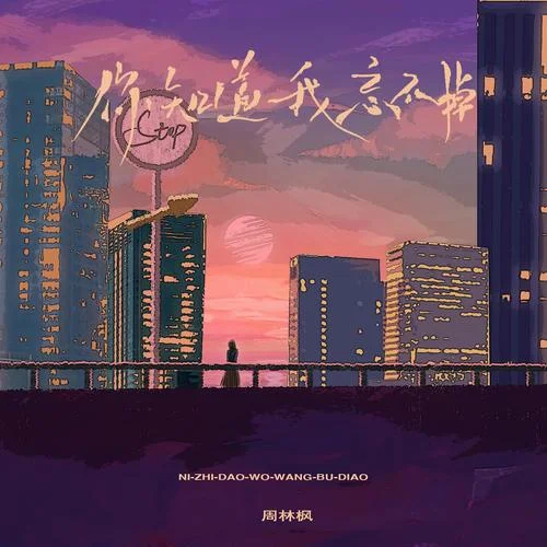 你知道，我忘不掉(DJ Eva版)-周林楓