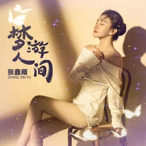 夢游人間(DJ版)-張鑫雨