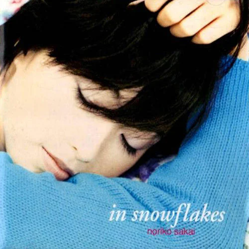 鏡子的女禮服-酒井法子