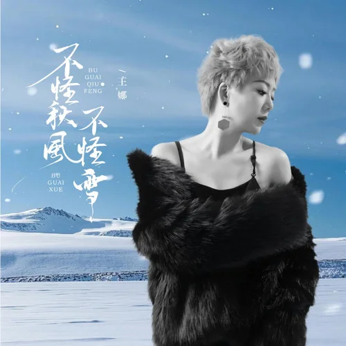 不怪秋風(fēng)不怪雪-王娜