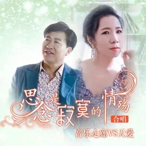 思念是寂寞的情殤-音樂(lè)走廊&天愛(ài)