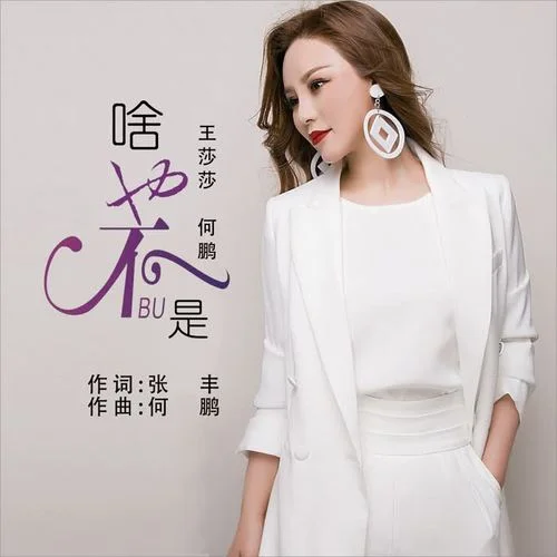 啥也不是(DJ版)-王莎莎