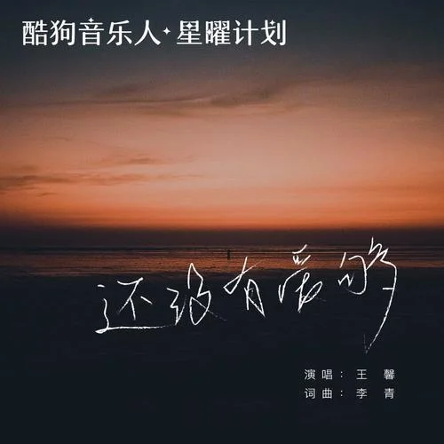 还没有爱够(DJ默涵版)-王馨
