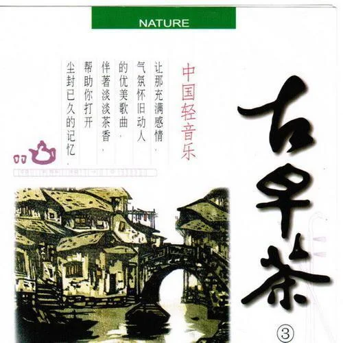 忘盡心中情-純音樂(lè)