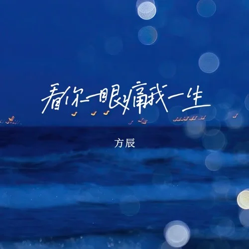 看你一眼痛我一生-方辰