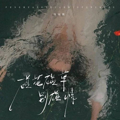 碰花碰草別碰情-怪阿姨