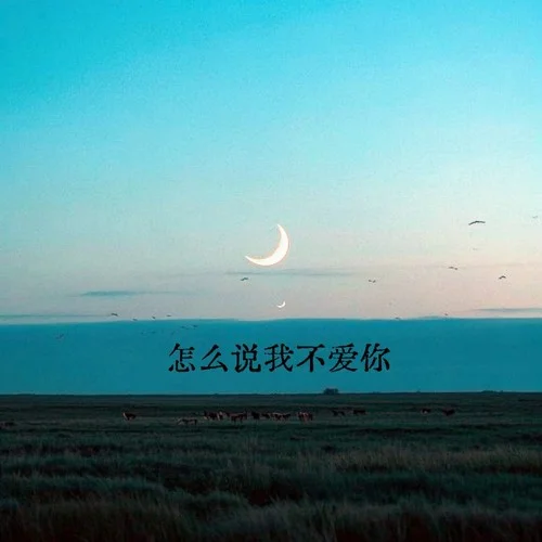 怎么說我不愛你 (DJ版)-Love.