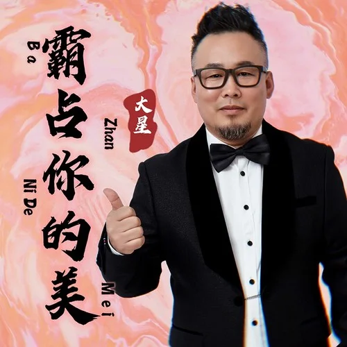 霸占你的美（DJ默涵版）-大星