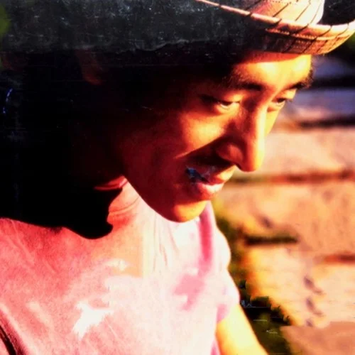 人面桃花-劉海波